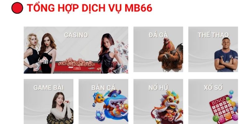 Sản phẩm nổi bật MB66