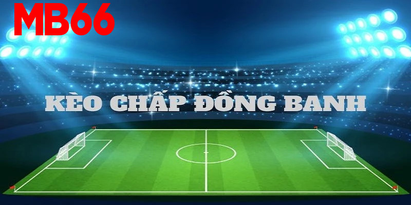 Cách đọc kèo đá banh tỷ lệ đồng banh