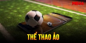 the-thao-ao