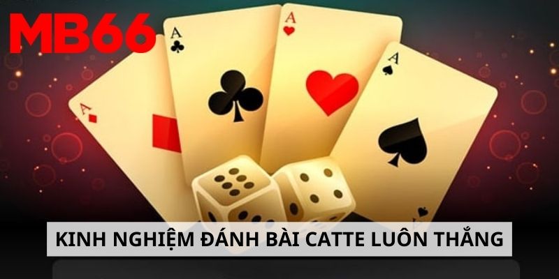 Kinh nghiệm hay giúp luôn thắng khi chơi Catte