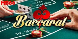 Sơ lược thông tin cơ bản về tool trong Baccarat