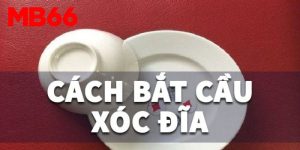 Tiết Lộ 7 Cách Soi Cầu Xóc Đĩa Đặt Đâu Trúng Đó Từ Cao Thủ